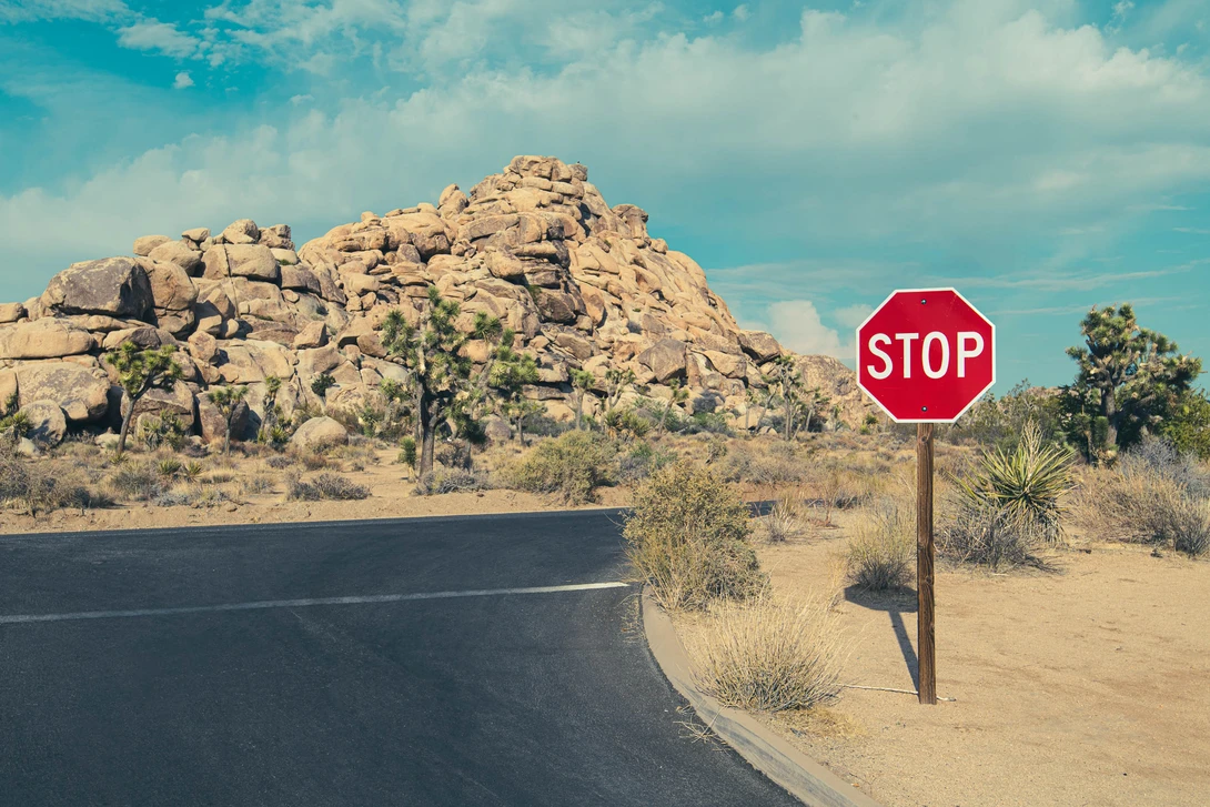 Joshua Tree Fine Art