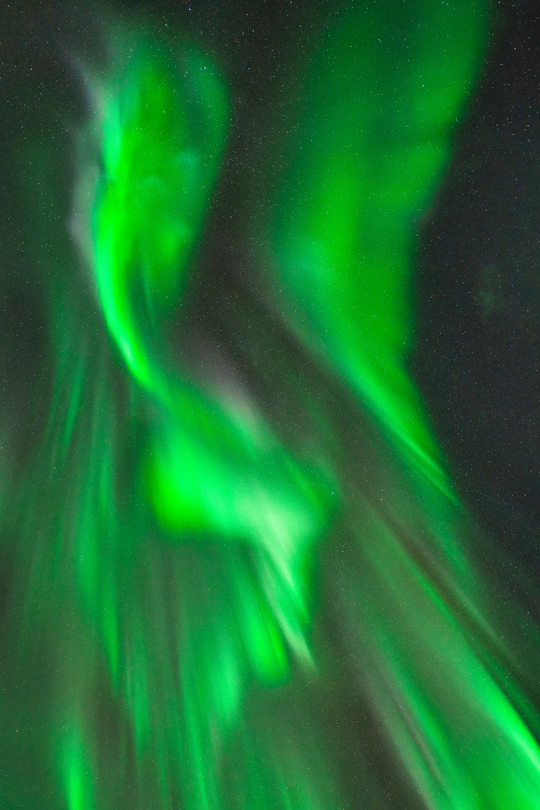 Abstract light painting with vibrant green luminous streaks flowing vertically against a dark background.