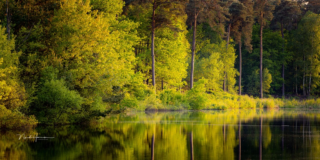 Landscape photography is perfectly possible thanks to the great zoom range. Often you don't need the wide aperture. If you like using filters, this lens might be the wrong choice. (EOS R5 with RF100-300L, 300mm, ISO 100, f/8, 1/15s, shot with tripod)