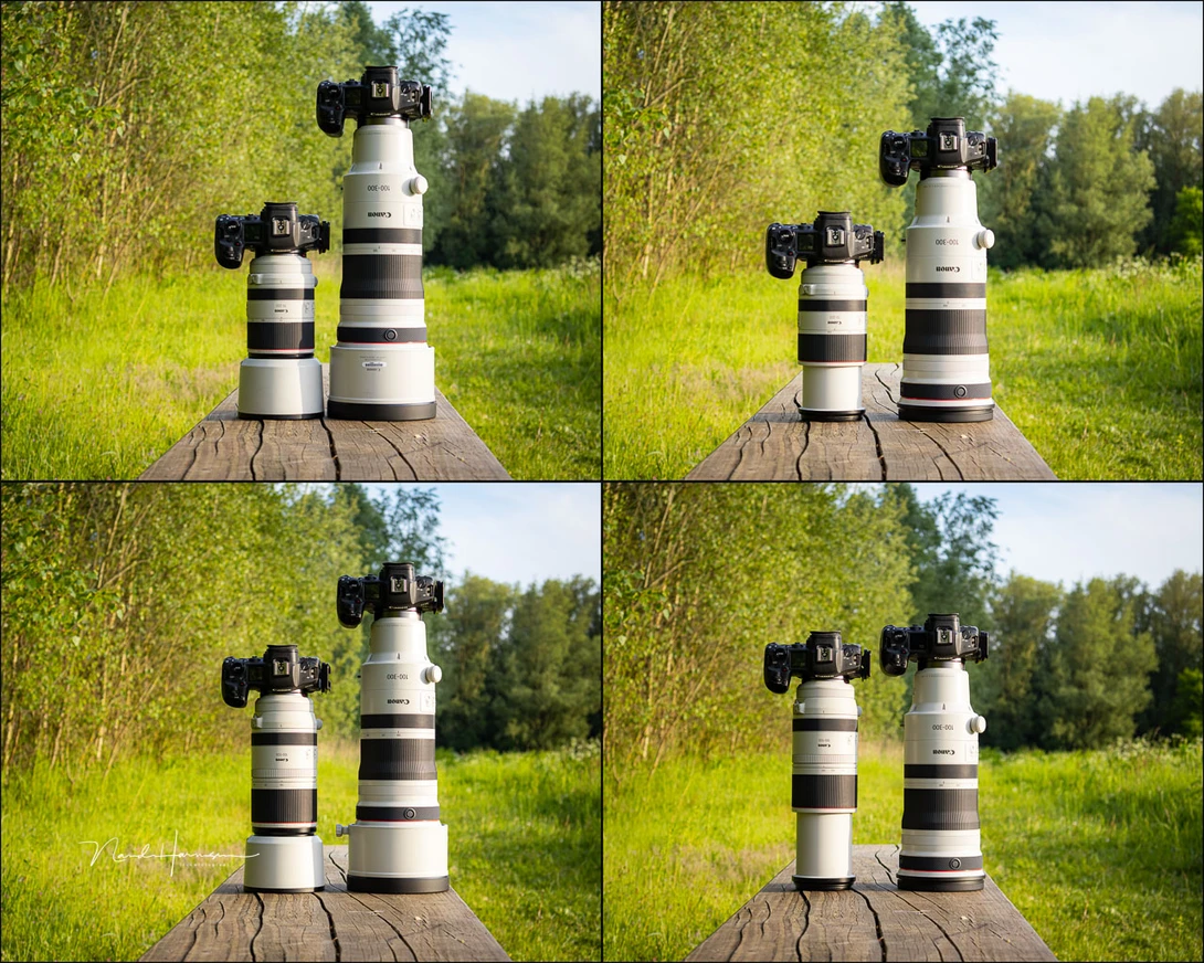 A comparison of the RF 100-300mm f/2.8L IS USM with the RF 70-200mm f/2.8L IS USM (top row) and the RF 100-500mm f/4.5-7.1L IS USM (bottom row)