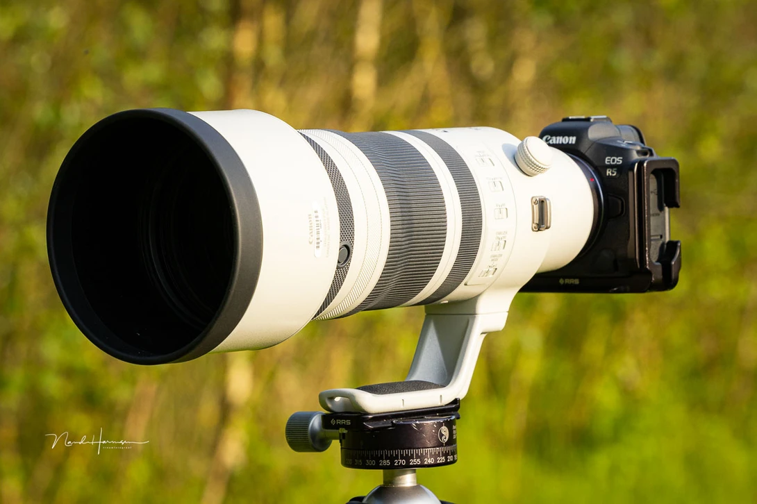 It's an impressive sight, such a large white lens. Although it has a good reason for being white, it also stands out.
