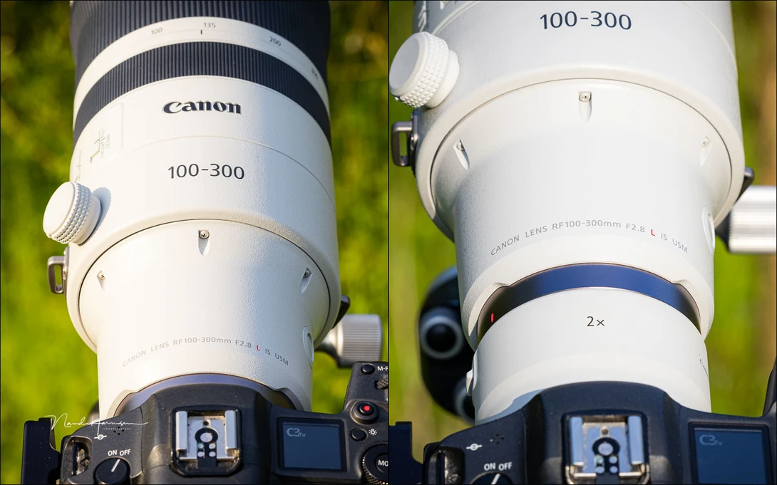 Combine the lens with extenders for more flexibility