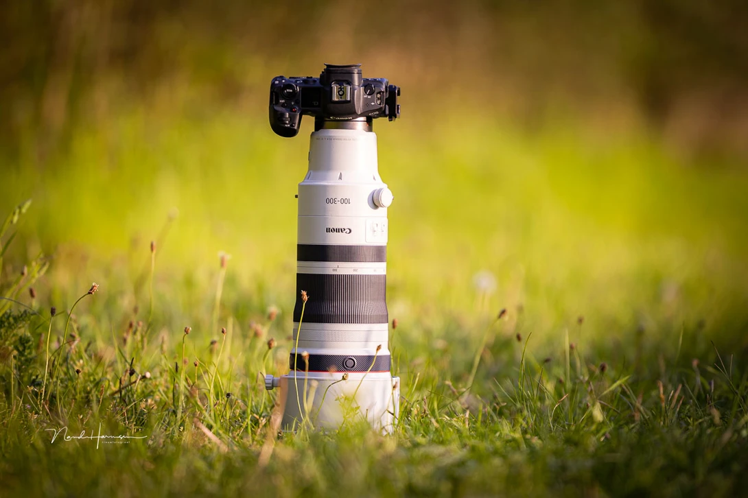 The amazing Canon RF 100-300mm f/2.8L IS USM on a Canon EOS R5 mirrorless camera