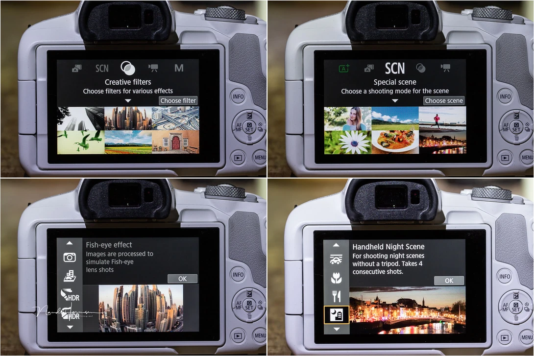 If you lvoe taking jpeg photos, the Canon EOS R50 offers a lot of creative settings.
