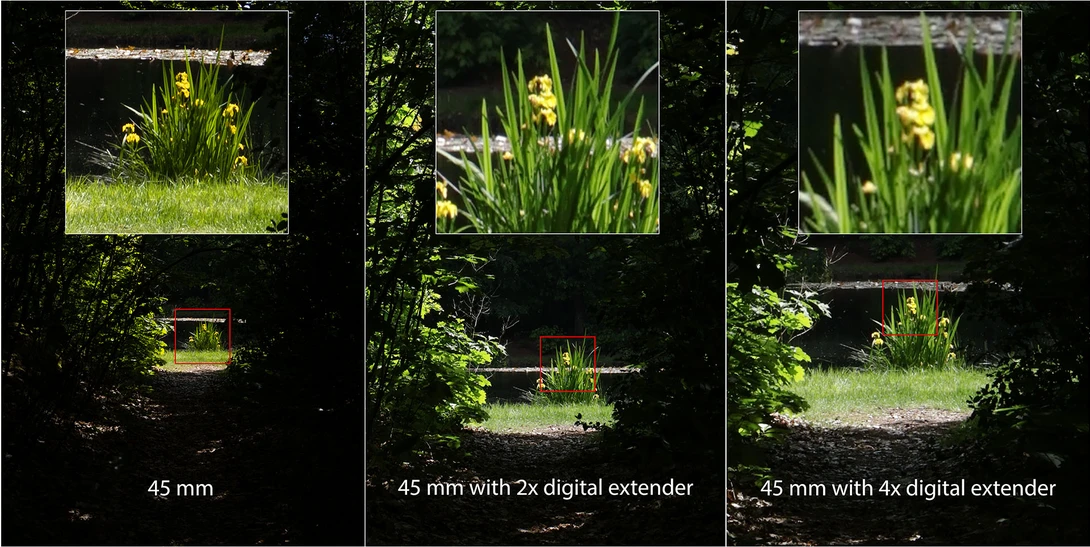 The Canon EOS R50 also features a digital extender. It allows a two times and four times magnification. No matter what setting, the camera produces a 24 MP image. Unfortunately the results aren't that great.