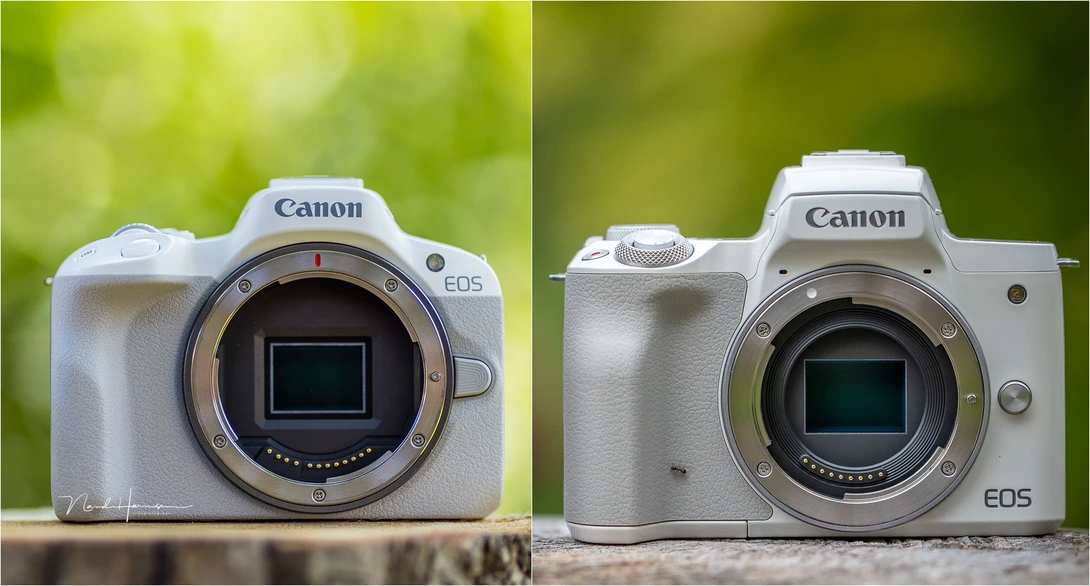 The Canon EOS R50 next to the Canon EOS M50. At first I thought these cameras were almost the same, but there are differences in design. I do find the EOS M50 more convenient to hold.