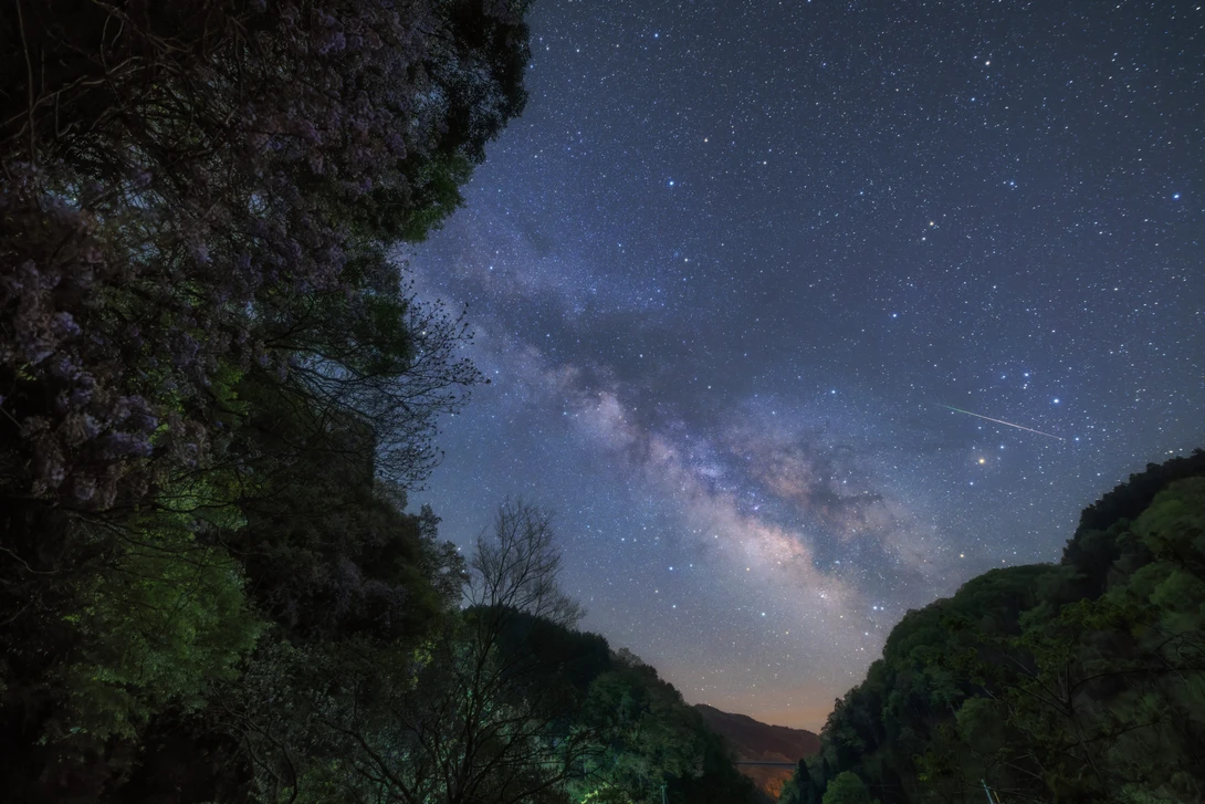 Milky Way galaxy stretches across night sky framed by forested canyon walls.