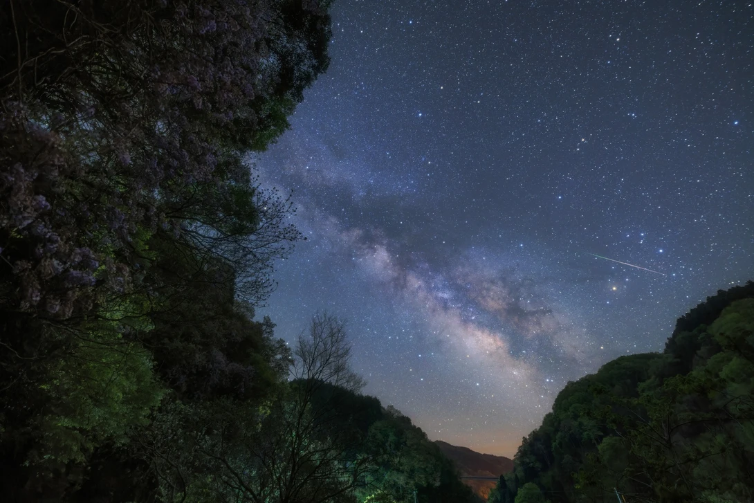 Milky Way galaxy stretching across night sky above forested canyon with tree silhouettes framing the view.