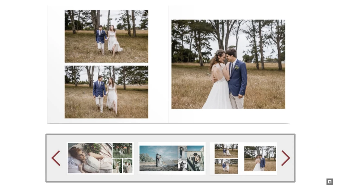 Wedding photography layout displaying multiple portrait and couple images from an outdoor ceremony.