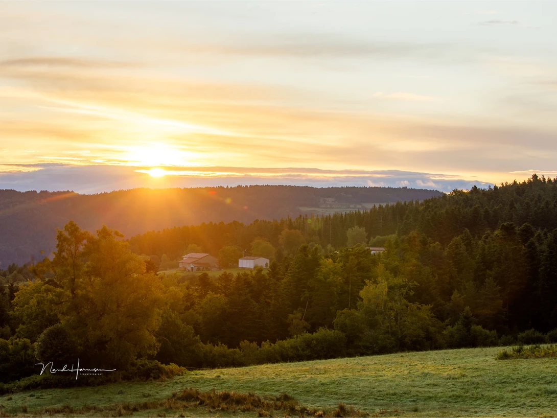 We like to look at the beautiful light in landscapes. It results too often in photos where shadows are neglected or forgotten.
