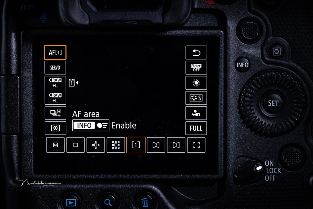 The AF system of the Canon EOS R3 offers much more possibilities. Some of which could be implemented with a simple firmware upgrade.&nbsp;