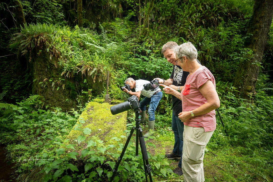 Taking a course in photography can be rewarding.&nbsp;