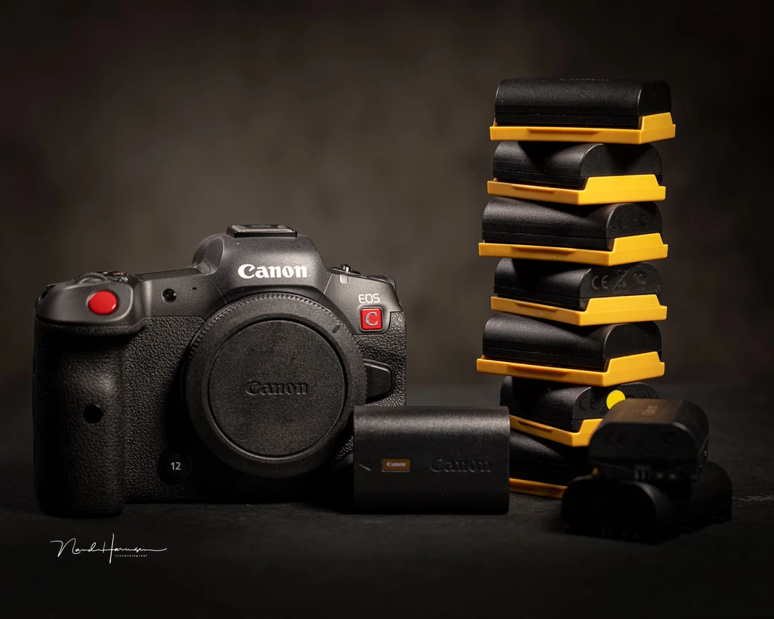 Some cameras use more batteries than others. Get a few spares to make sure you can continu to shoot.&nbsp;