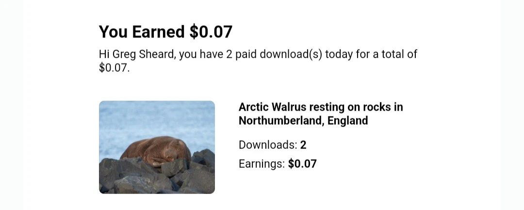Brown walrus resting on dark rocky outcrop against blue water.