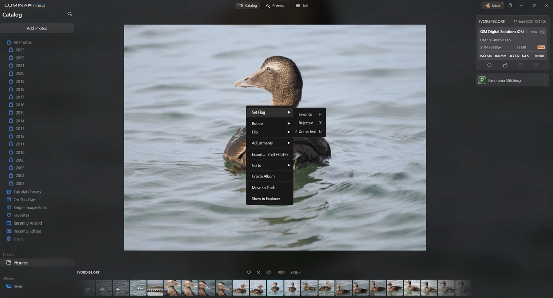Screenshot of Luminar photo editing software showing right-click context menu overlaid on waterfowl portrait.