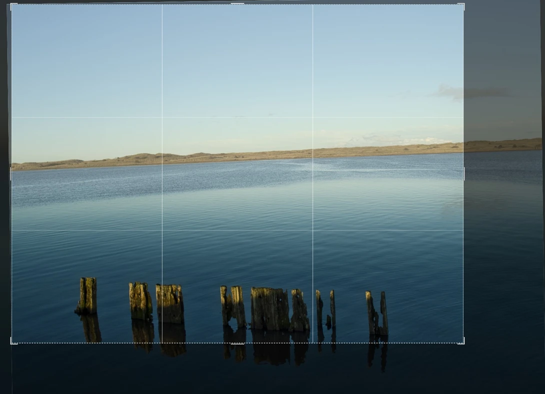 Weathered wooden pilings in still water with grid overlay during golden hour.
