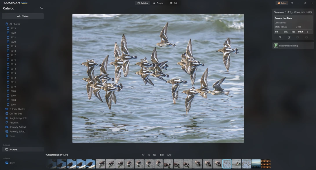 Flock of shorebirds in flight over shallow ocean water with waves.