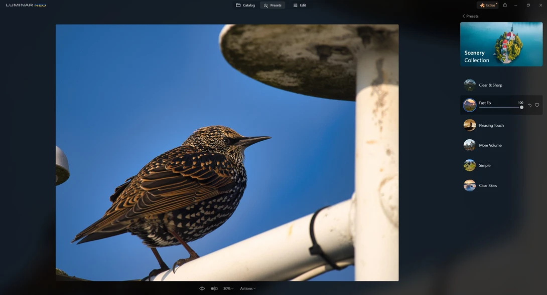 Small brown speckled bird perched on a white pipe against a clear blue sky.