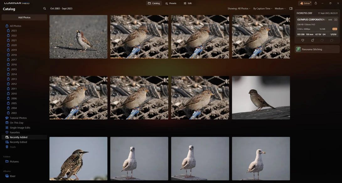 Screenshot of Lightroom library interface showing multiple bird photographs organized in a grid layout.