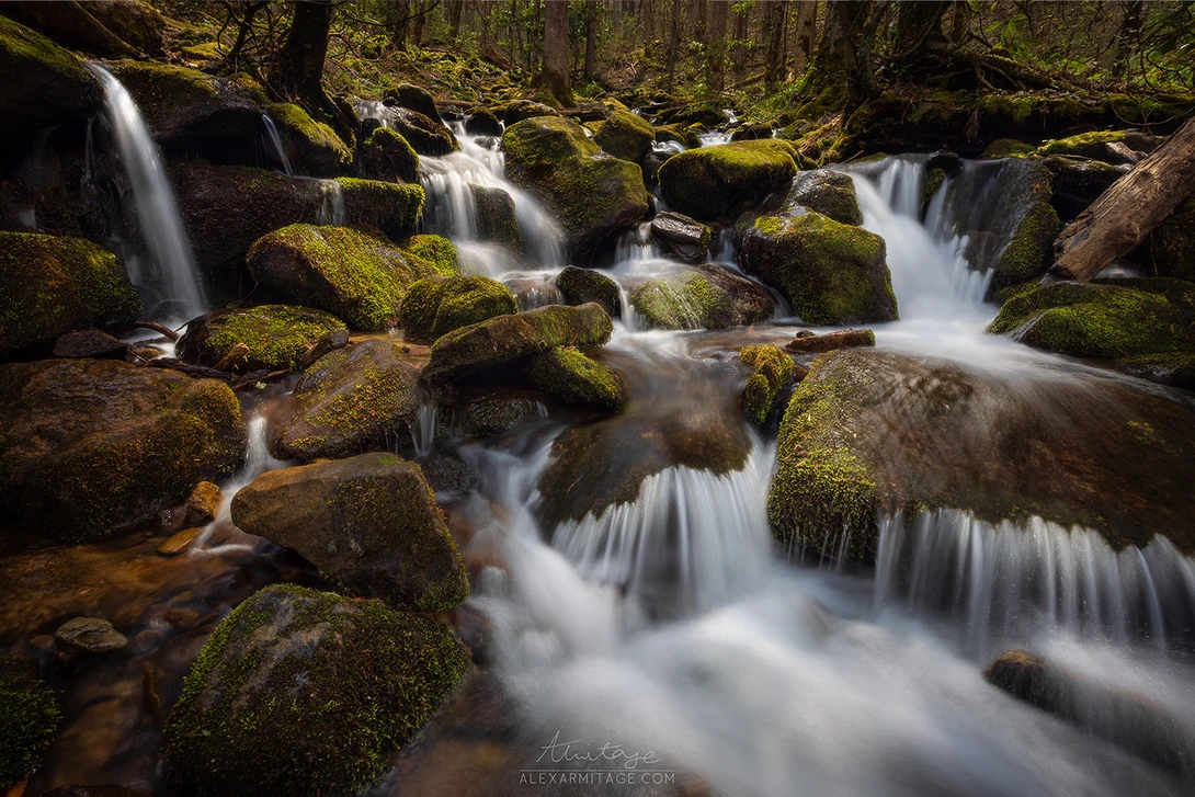Cascading forest stream flowing over moss-covered boulders with long exposure blur effect.