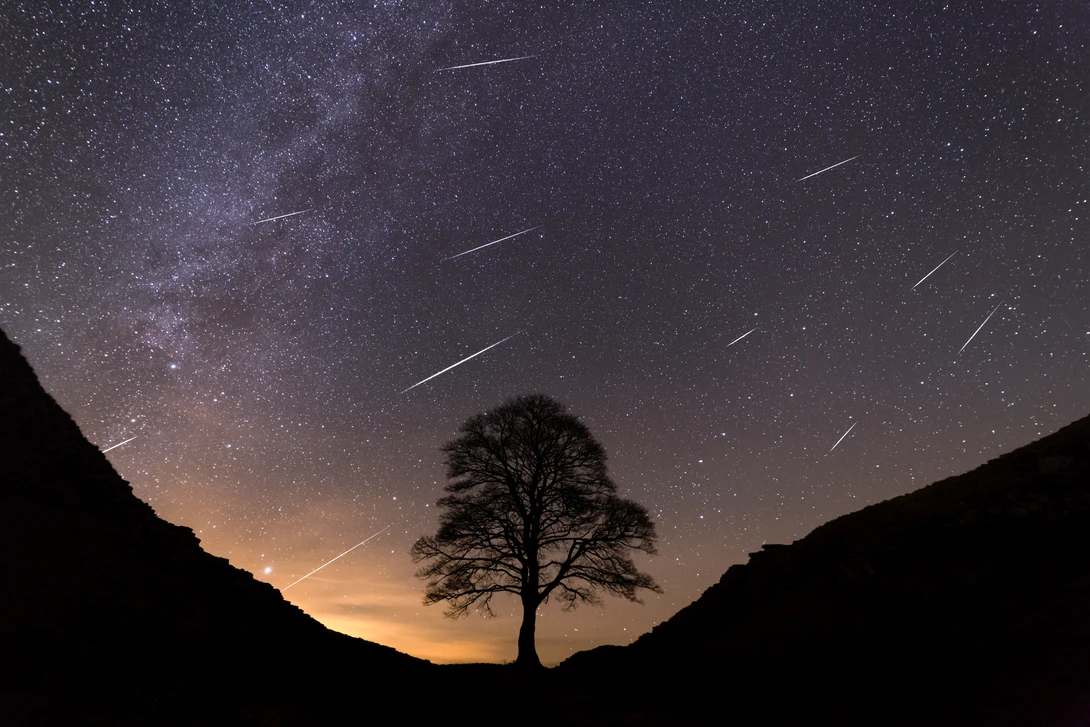 Silhouetted tree centered between dark hillsides under starry night sky with meteor streaks and Milky Way visible.
