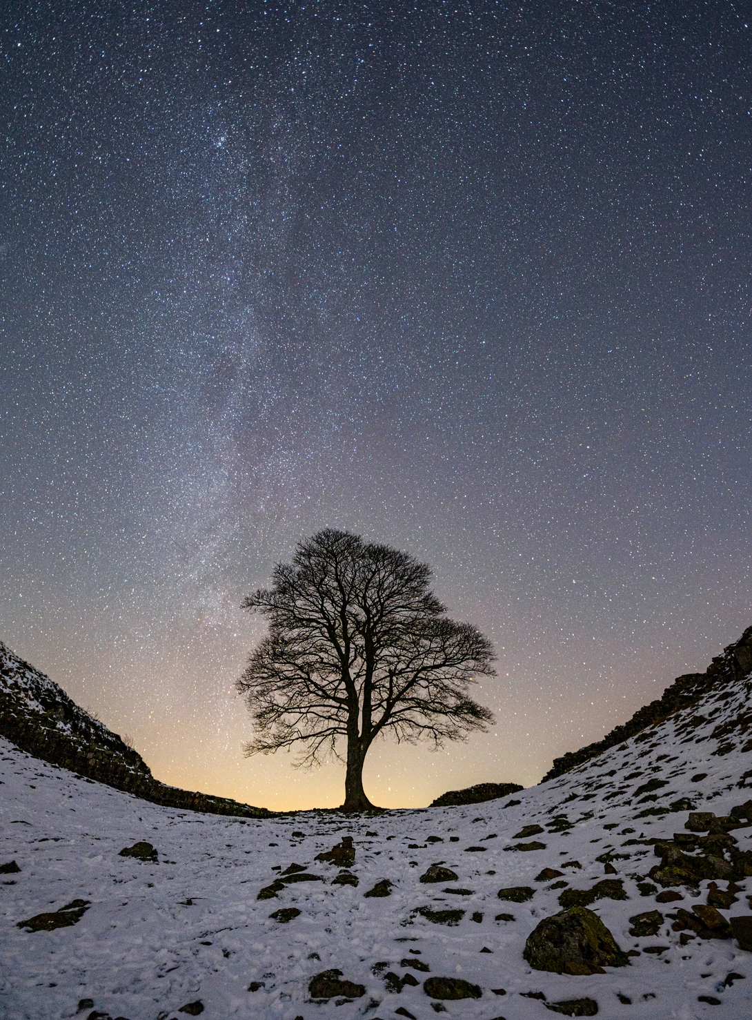 Solitary bare tree silhouetted against the Milky Way in a snowy mountain valley at night.