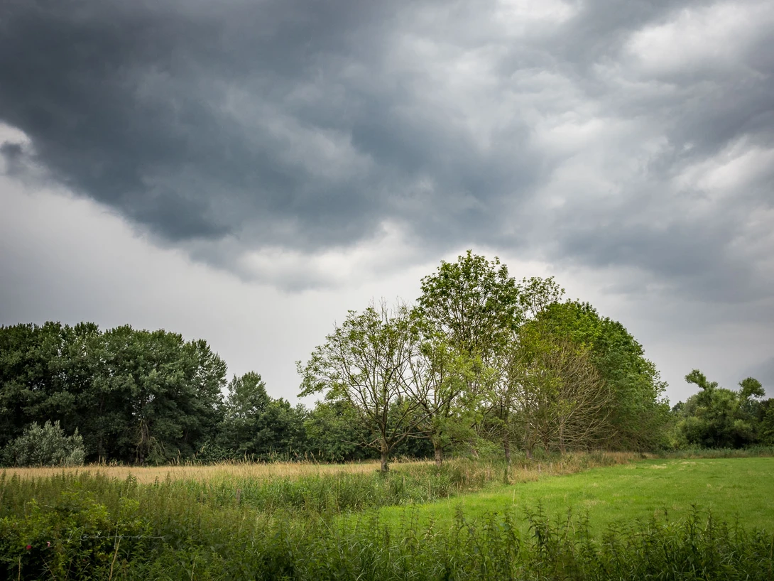 By changing the position and perspective relative to the tree, the clouds now mimic the line of the tree almost perfectly.&nbsp;