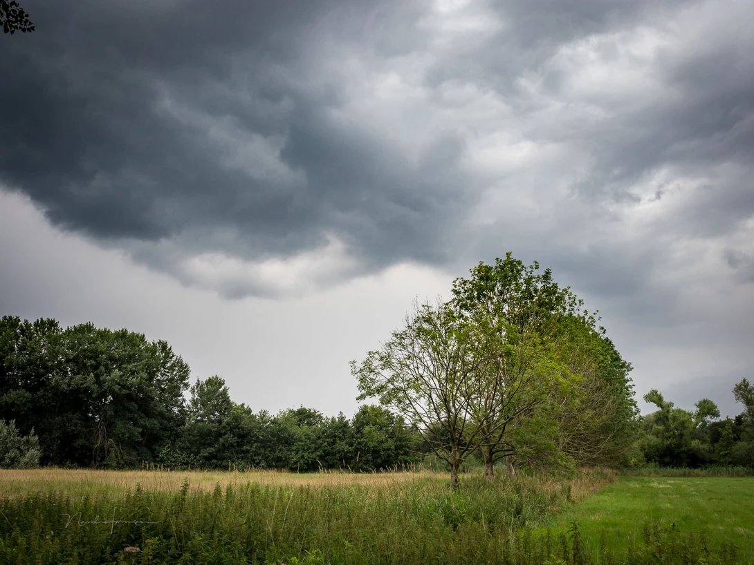 Finding the right position does wonders. The photograph is looking much more attractive compared to the previous one. Look at the curve that is formed by the clouds, and look at the shape of the tree.