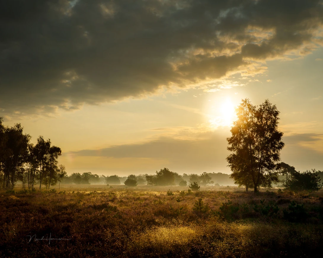 You could apply the rule of thirds with this composition, although I didn't pursue this rule at the time I took this photograph. It just felt right to place the horizon, tree, sun, and clouds in this way. The diagonal line of the clouds works well in this