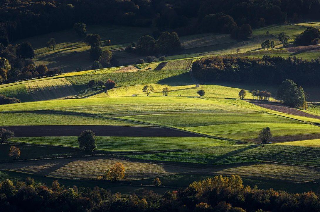 Light on the Hills