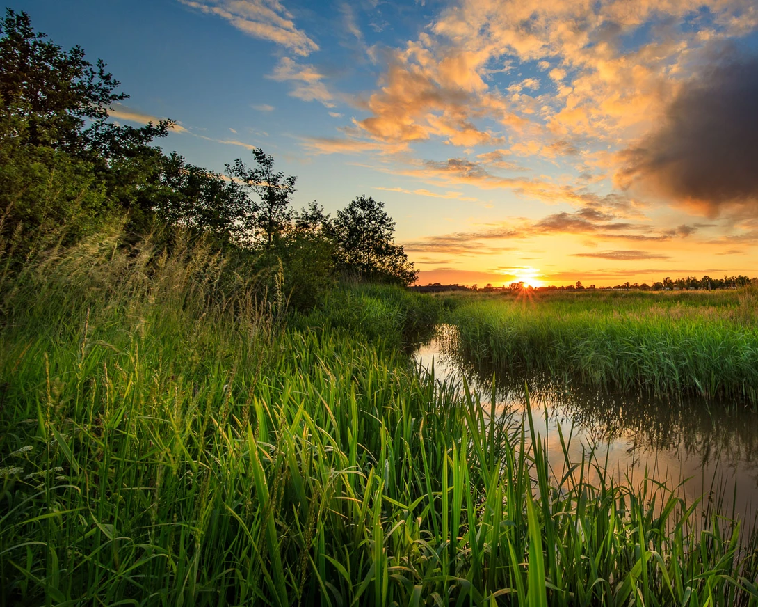 It's easy to be focused on the sunset and the canal towards the sun. But the left side of the frame is too cluttered, and the right side is empty. There is no balance.