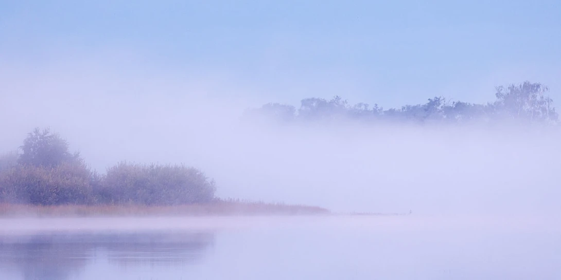 Both elements keep each other in balance. Remove one, and the compositions is completely off-balance.