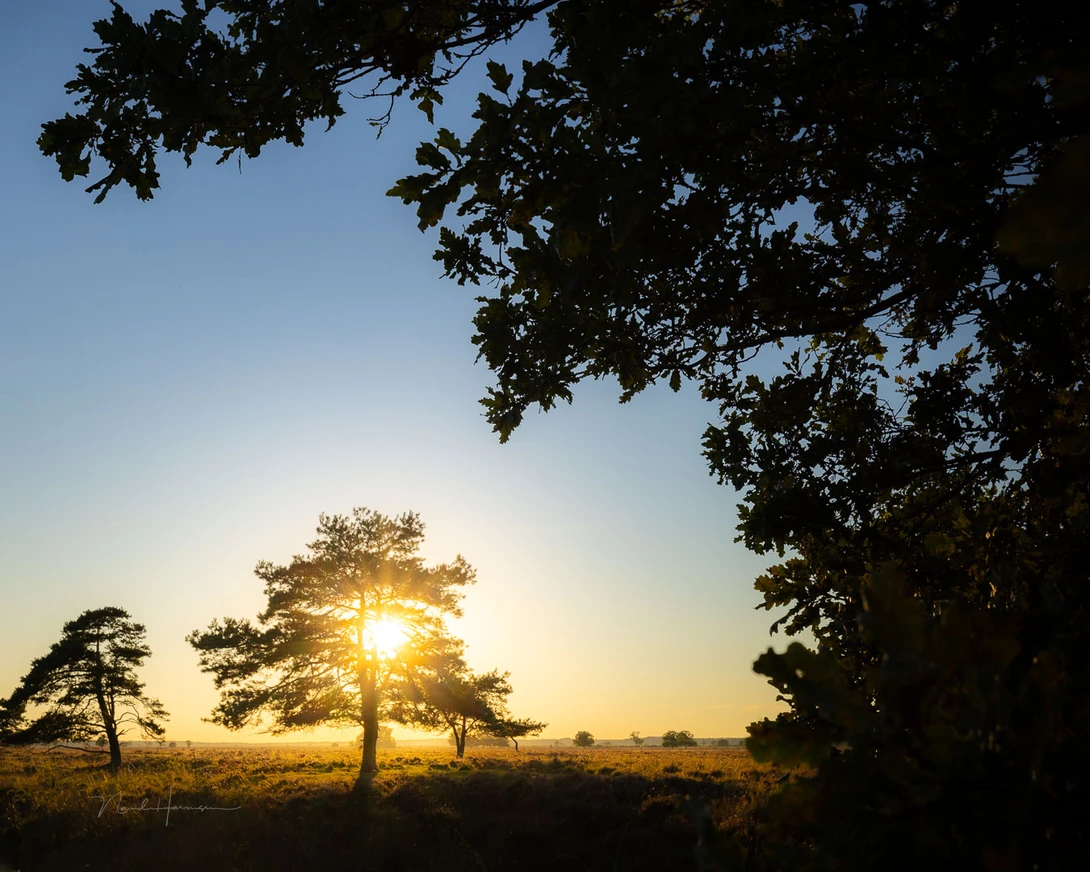 A landscape has a lot of elements. You don't have to include all of these. Make a choice, and keep it simple. This makes it easier to find balance.