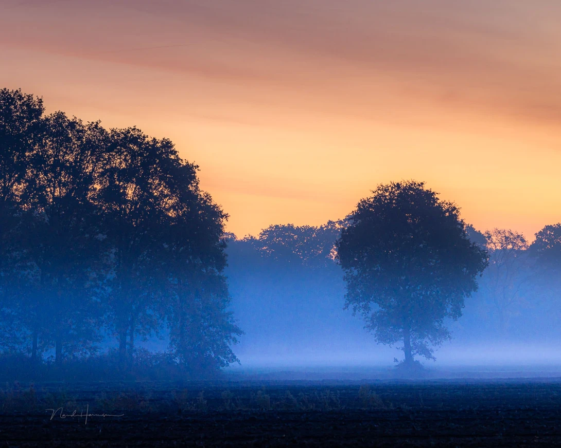 That one tree, which is the subject, is balancing the composition. I think it's eye pleasing, what do you think?