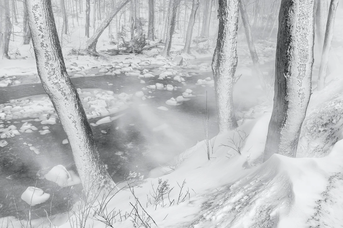 Snow-covered forest with bare trees surrounding a partially frozen stream shrouded in mist.