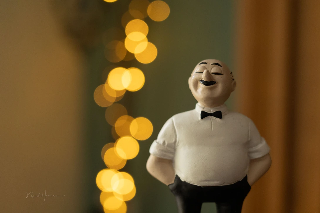 Although a shallow depth of field is not extreme, the bokeh looks nice. This is with f/2.8 on a Canon EOS R10