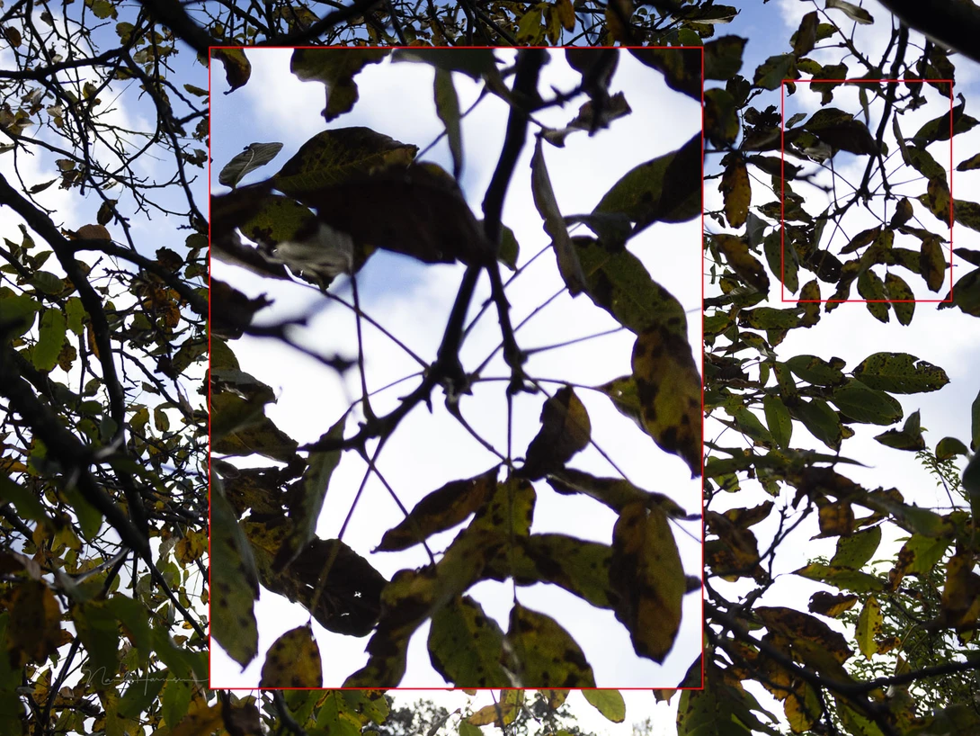 At f/2.8 there is a bit of purple fringing left, even with lens correction enabled. This is easy to correct in software.