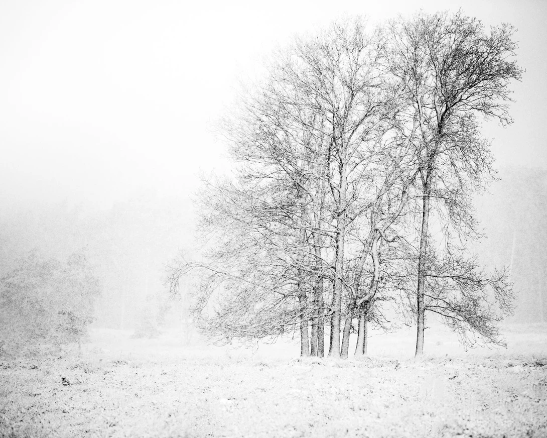 Snow covered landscapes are ideal for black and white photography.