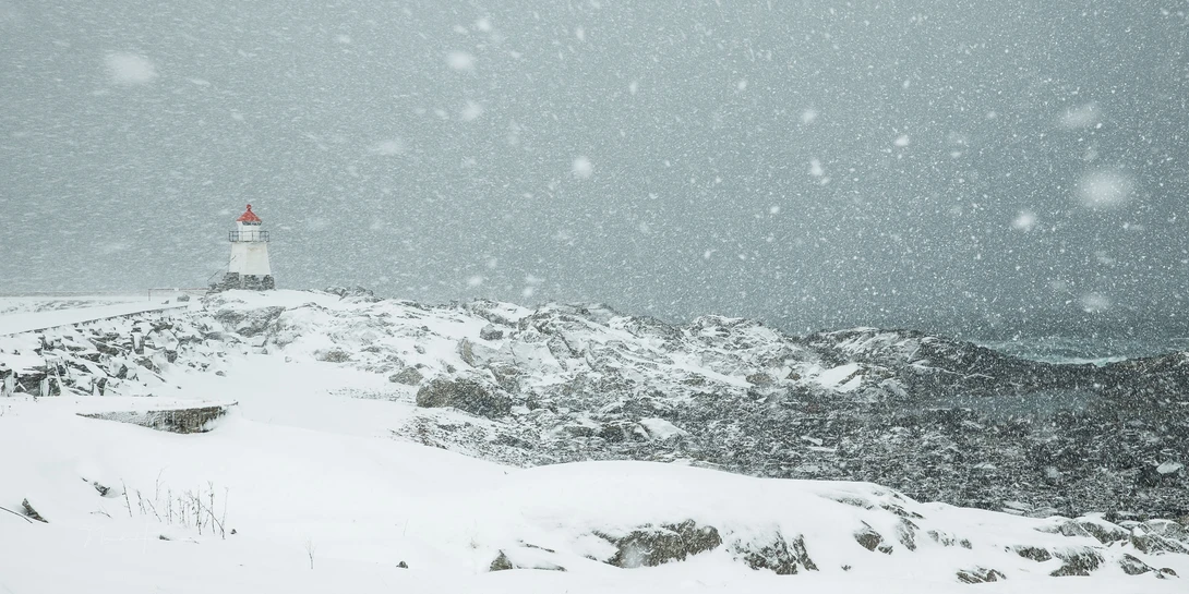 Capturing snow flakes, preferably without flash.