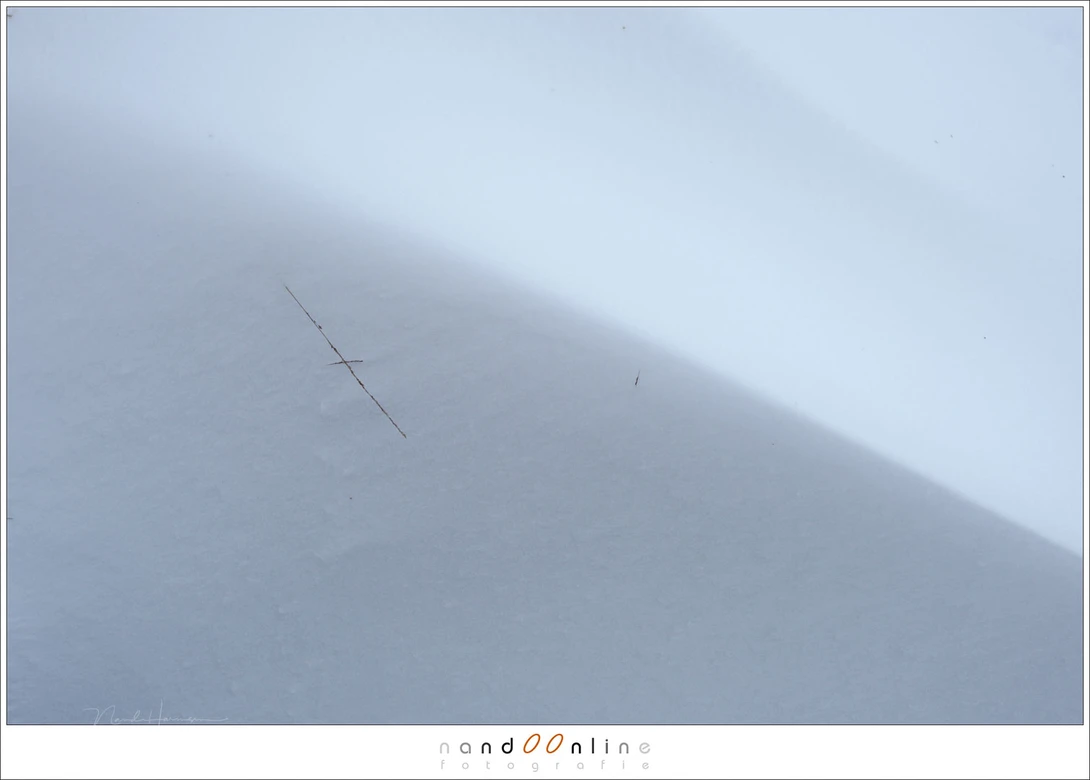 Snow is soft and fuzzy. Too much contrast and you loose it.