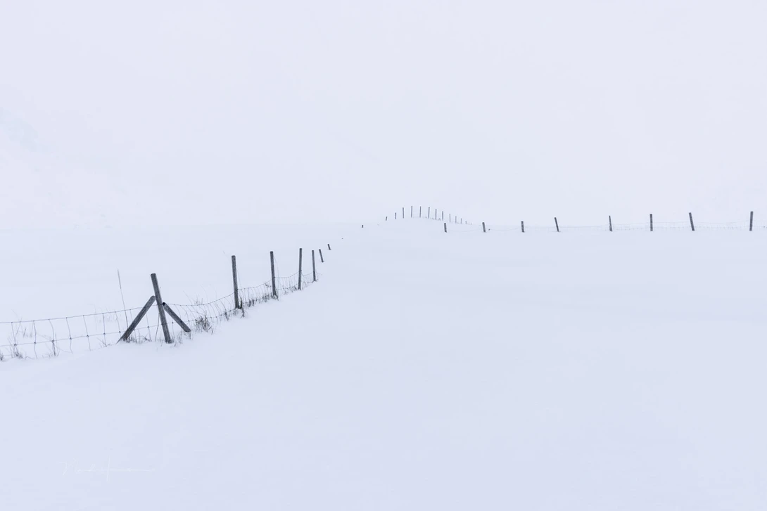 If everything's white, the light meter will try to make it 50% grey.