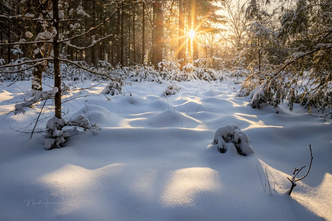 Mind your step. Don't leave your footprints.