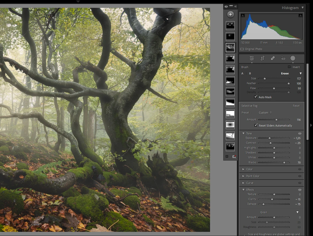 Fog in Lightroom