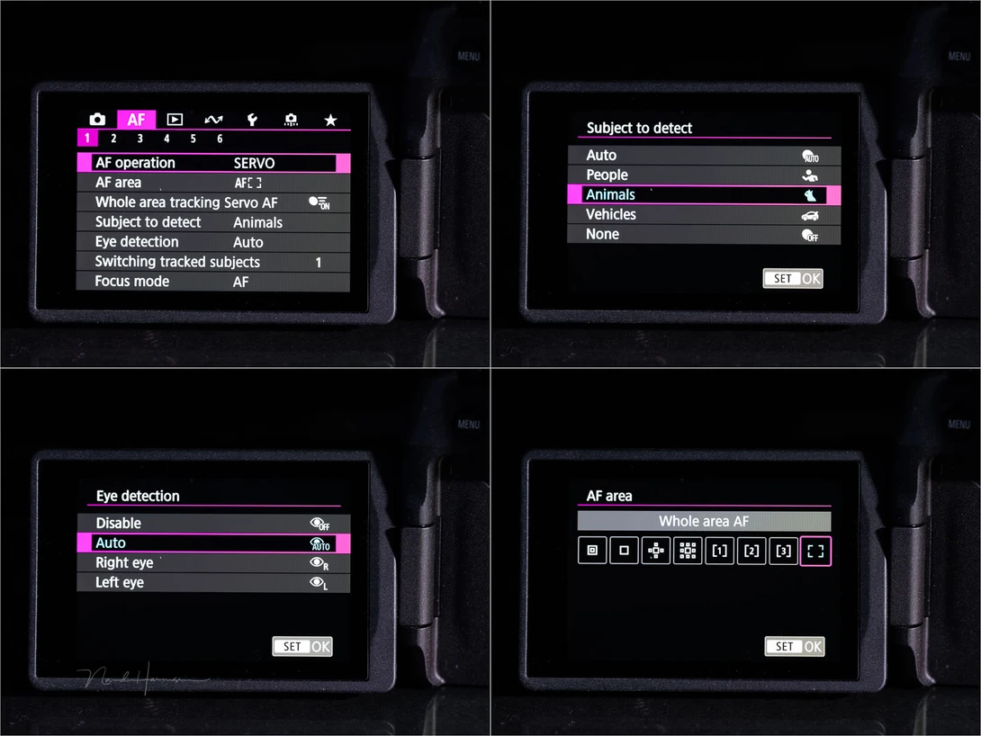 The autofocus menu can be extensive. Take your time learning to set it up.