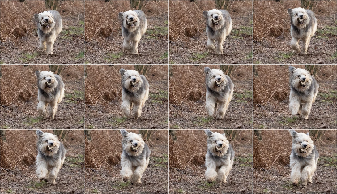 A couple of frames from a RAW burst. With 60 frames per second you get a lot of frames.