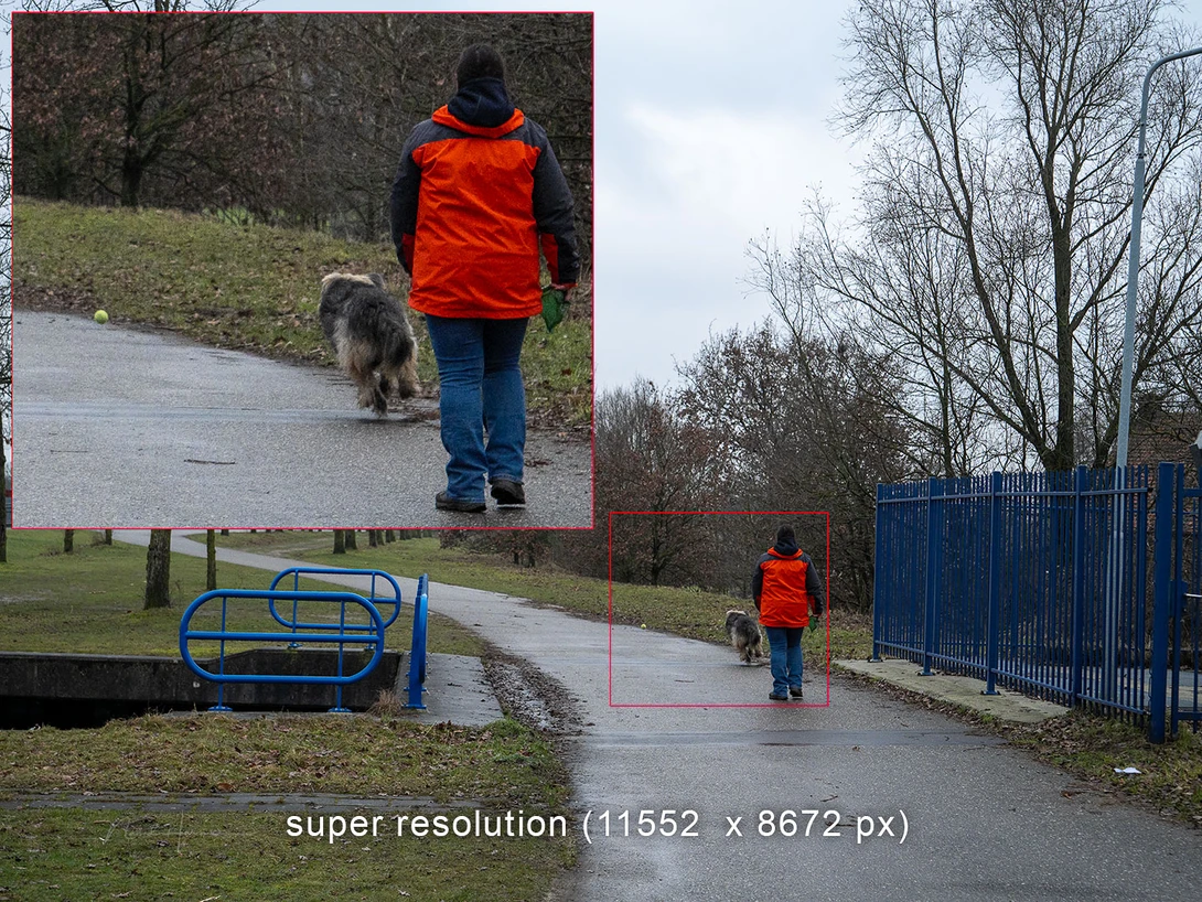 Super resolution in action. Look at the dog running and the ball ahead. The camera has no problem with moving subject while using super resolution. The image is taken handheld.