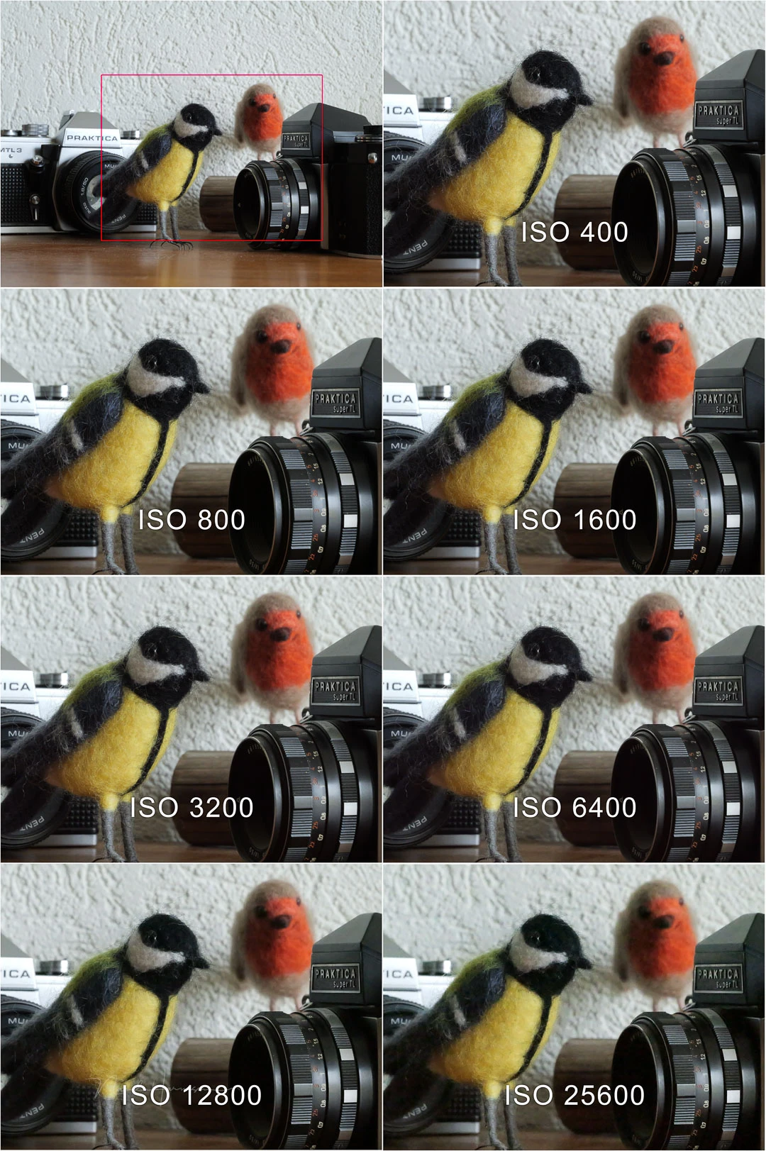 The ISO performance. In-camera JPEG, unedited.