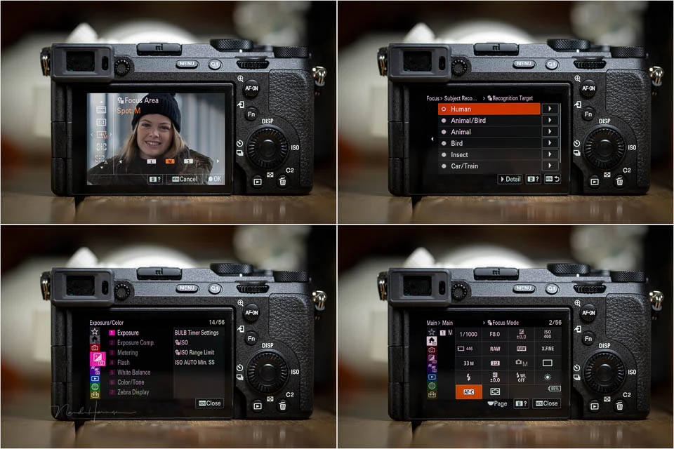 The autofocus menu holds no surprises. It similar to the other modern Sony cameras.