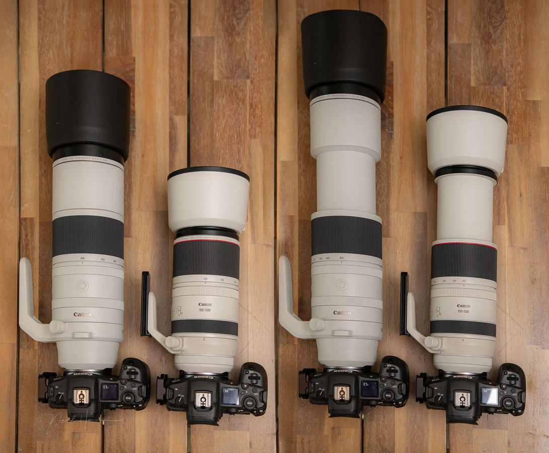 A size comparison between the RF 200-800m and RF 100-500mm.