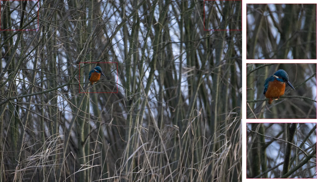An impression of the performance on image quality. This is at 800mm and f/9 on a Canon EOS R5 at ISO 8,000.